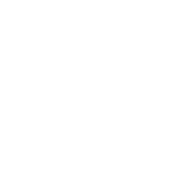 Logo Luma AI