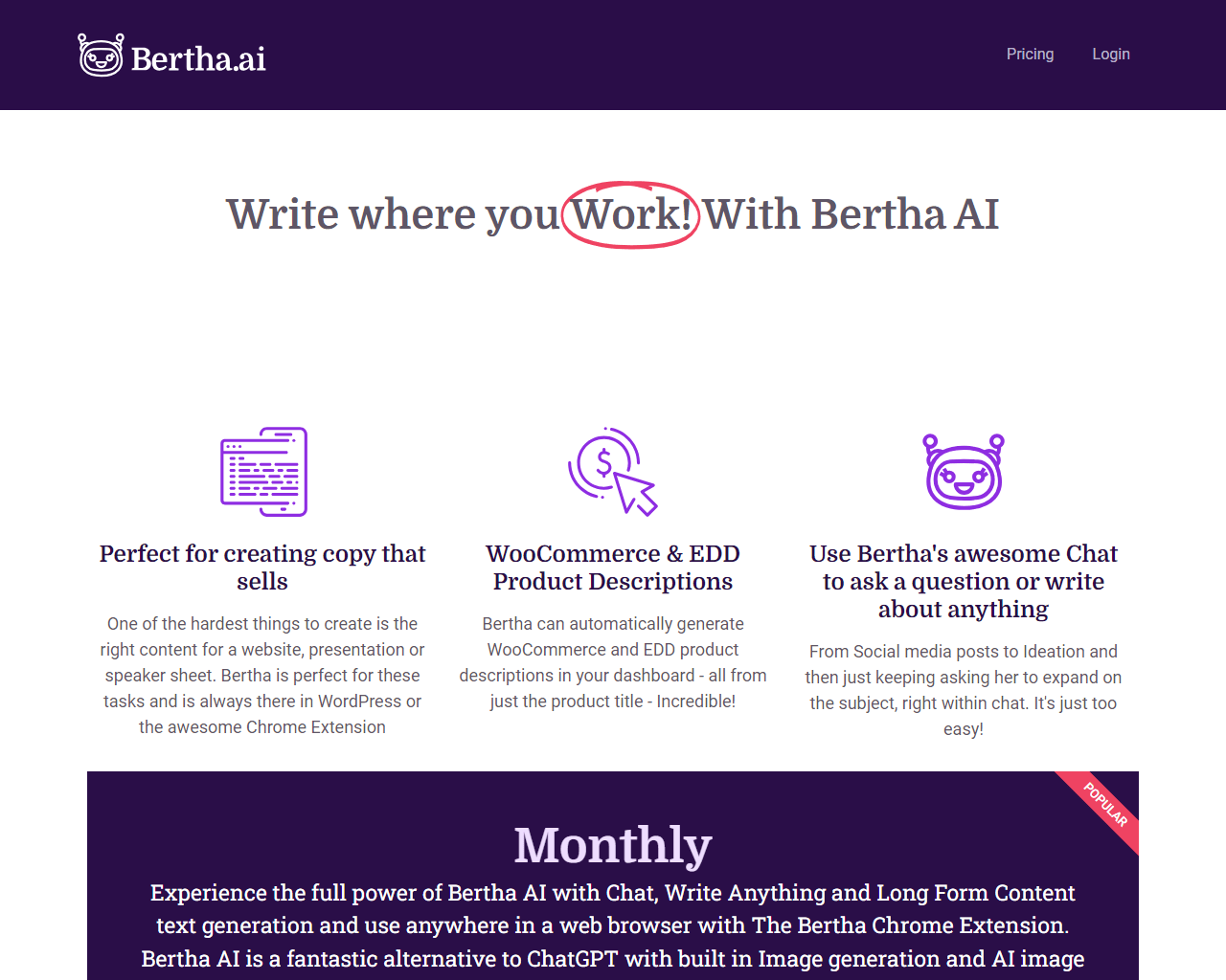 impr. écran du site Bertha AI